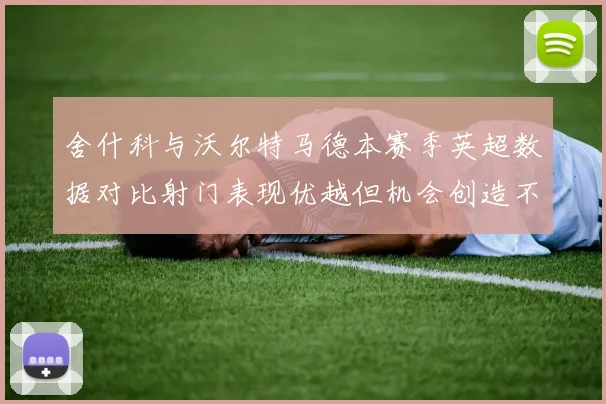 舍什科与沃尔特马德本赛季英超数据对比射门表现优越但机会创造不足
