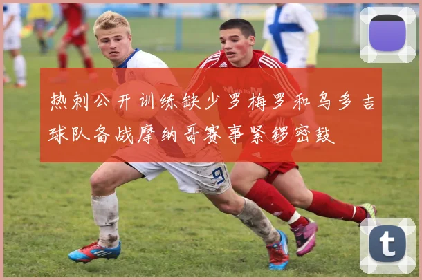 热刺公开训练缺少罗梅罗和乌多吉球队备战摩纳哥赛事紧锣密鼓