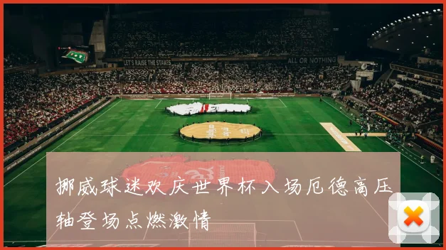 挪威球迷欢庆世界杯入场厄德高压轴登场点燃激情