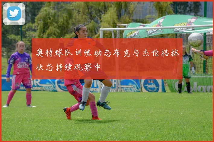 奥特球队训练动态布克与杰伦格林状态持续观察中