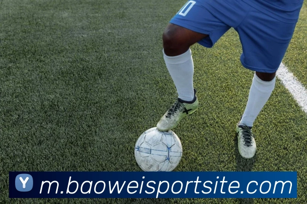 App Interface Preview